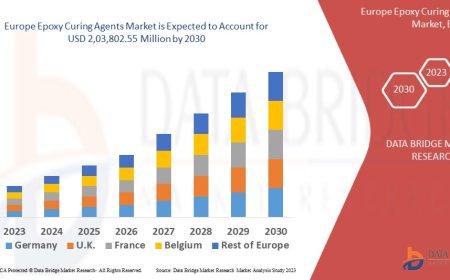 Europe Epoxy Curing Agents Market : Report 2025 –2032: Key Trends and Projections