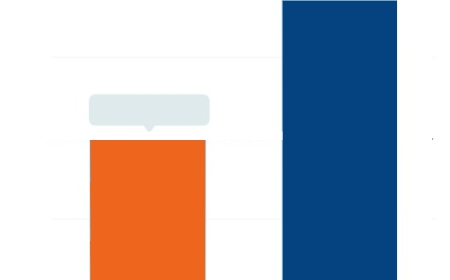 Latin America Feed Additives Market : Size, Share, and Future Growth 2025 –2032