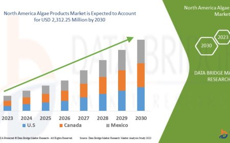 North America Algae Products Market would rocket up to USD 2,312.25 million by 2030