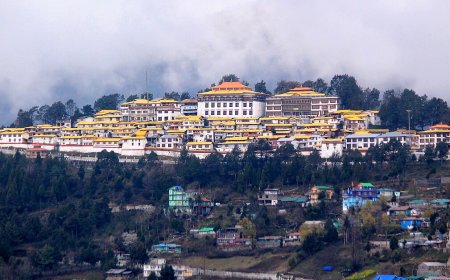 Experience Bliss with 6 Nights 7 Days Tawang Package Tour