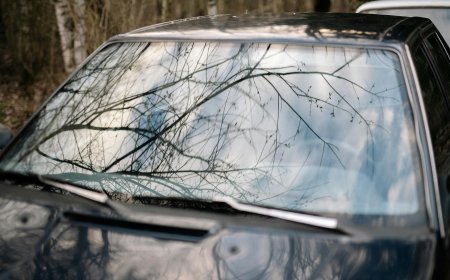 Save Time and Money with Our Affordable Windscreen Repair Solutions Today