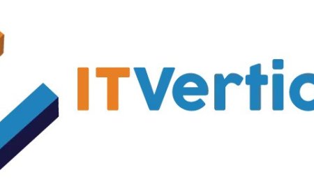 IT VERTICALS: Professional Website Design Dallas Texas Businesses Trust