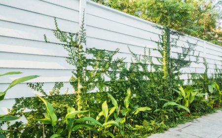 Compare Fence Installation Costs: Wood, Vinyl, Chain Link & More