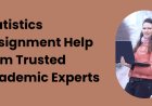 Statistics Assignment Help from Trusted Academic Experts