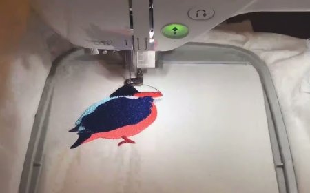 Digitizing Logos for Embroidery: A Beginner’s Ultimate Guide