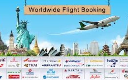 Discover the Best Travel Company in Delhi: Your Gateway to Unforgettable Journeys