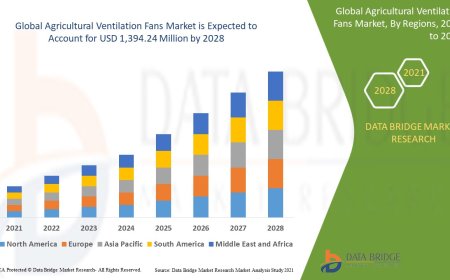 Global Agricultural Ventilation Fans Market Demand: Growth, Share, Value, Size, and Insights
