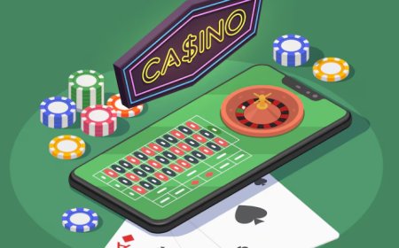 How White Label Casino Software Accelerates iGaming Business Setup