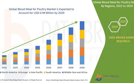 Global Blood Meal for Poultry Market Revenue Forecast: Growth, Share, Value, and Trends