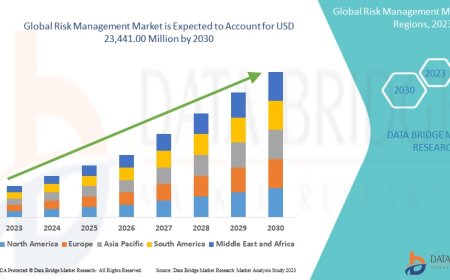 Global Risk Management Market Graph: Growth, Share, Value, Size, and Insights