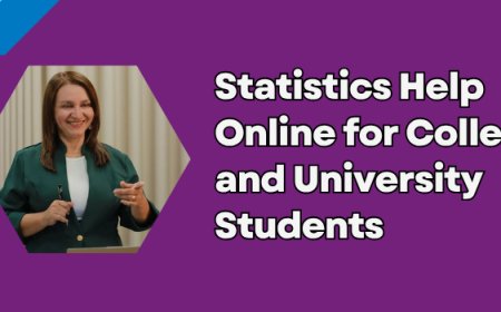Statistics Help Online for College and University Students