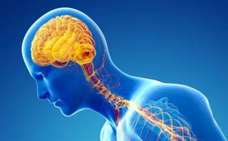 How Parkinson’s Affects Movement and Daily Life