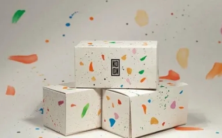 Premium Custom Mushroom Boxes – Durable & Eco-Friendly Packaging Solutions