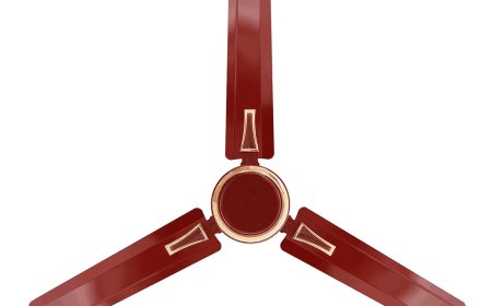 Different Types of Ceiling Fans Online: A Complete Guide for Modern Homes