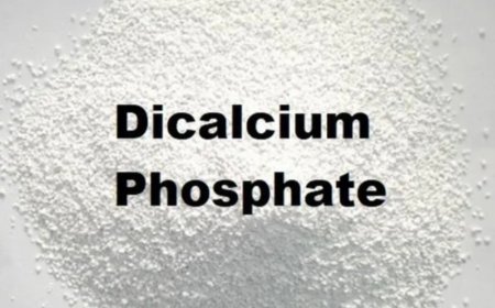 Dicalcium Phosphate Production Plant Setup Report 2025: Cost, Raw Material Requirements and Infrastructure