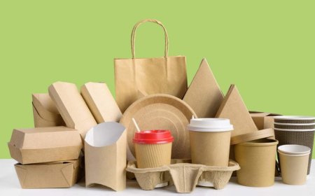 Deli Containers: The Unsung Hero of Efficient Food Storage and Takeout Packaging