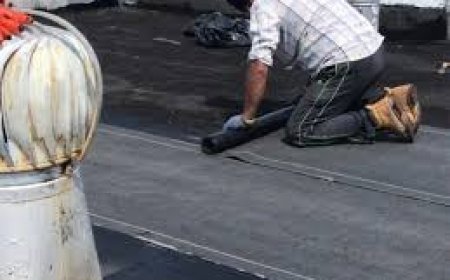 Waterproofing Services Why Your Home Needs It