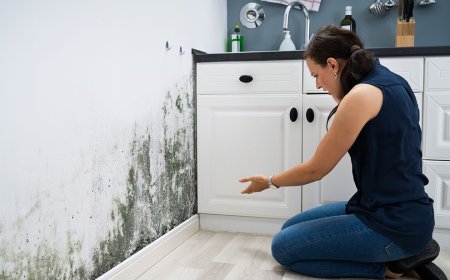 Tenant Compensation for Housing Disrepair in the UK: What You Need to Know