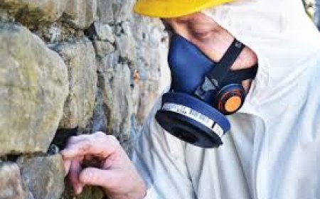 Asbestos Testing Glasgow: What Tenants Should Know Before Moving In