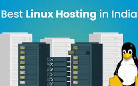 Linux Hosting in India: Why It’s the Top Choice for Developers and Businesses