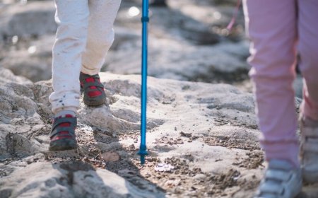 Top Reasons to Use a Vissco Walking Stick in Mumbai