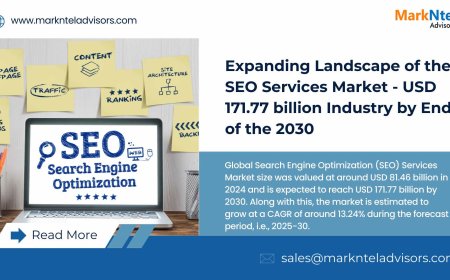 SEO Services Market Size, Future Insights, Outlook to 2030