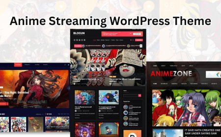 Is This the Best Anime Streaming WordPress Theme for Your Website?