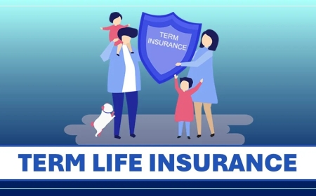 11 Reasons Why Term Insurance Is a Smart Choice