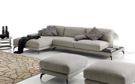 What Are the Most Popular Sofa Types for Modern Homes?