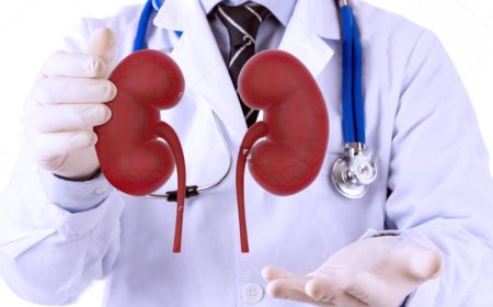 Life After Kidney Transplant: Real Stories from Patients in Jaipur