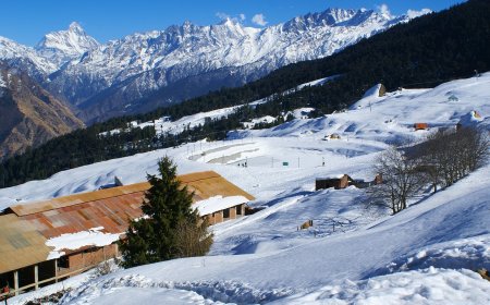 Auli Tour from Delhi with Tours Club India