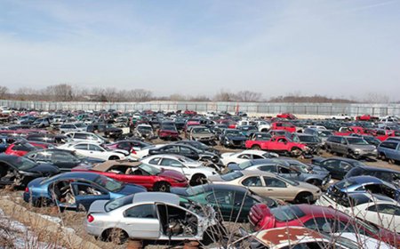 Basketcase | Limited In Stock Shop Now Get Upto 20% Discount