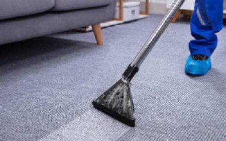 Carpet Cleaning Services for Hotels: What to Look For