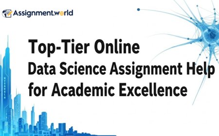 Top-Tier Online Data Science Assignment Help for Academic Excellence