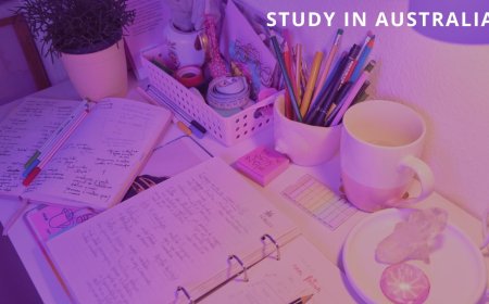 Top-Rated Assignment Help Sydney for Academic Excellence