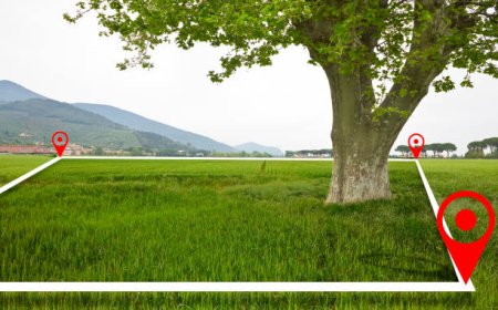 Strategic Land Dynamics Around Jewar Airport