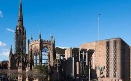 Unlocking Academic Success – How Student Paper Help Can Boost Your Grades