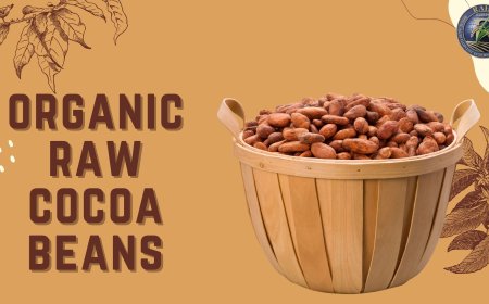 Health Benefits of Organic Raw Cocoa Beans You Didn’t Know About