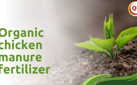 Why Farmers Trust Organic Chicken Manure Fertilizer from Qlfarms