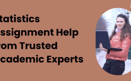 Statistics Assignment Help from Trusted Academic Experts
