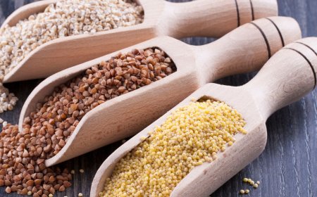 Global Millets Market to Reach USD 18.65 Billion by 2033 – Superfood Trend and Government Support Drive Strong Growth