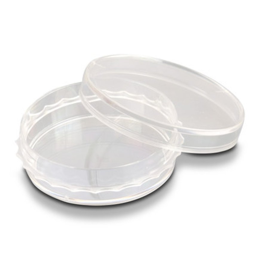 Understanding Surface Coatings in Culture Dish Coverslip Inserts