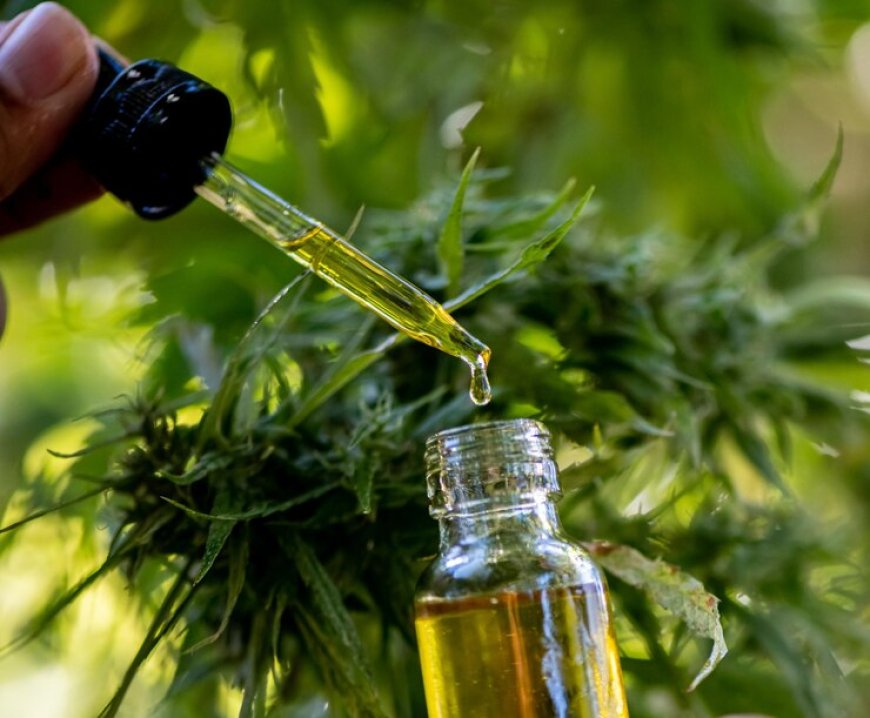 How Much CBD is in Hemp Oil?