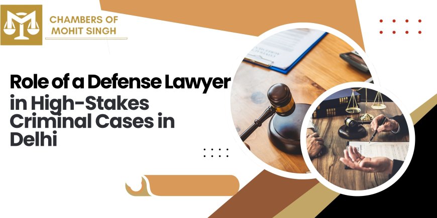 The Role of a Defense Lawyer in High-Stakes Criminal Cases in Delhi