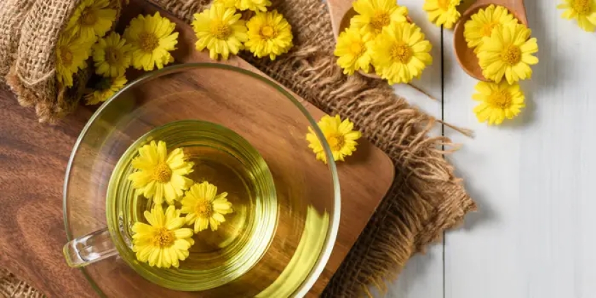 Dandelion Root Online & Discover the Benefits of Dandelion Tea