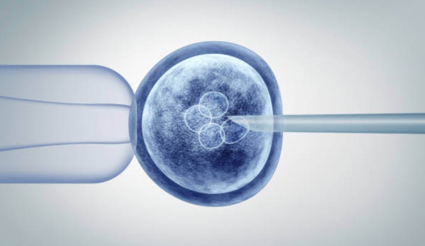 Understanding Stem Cells Therapy at Dynasty Clinic