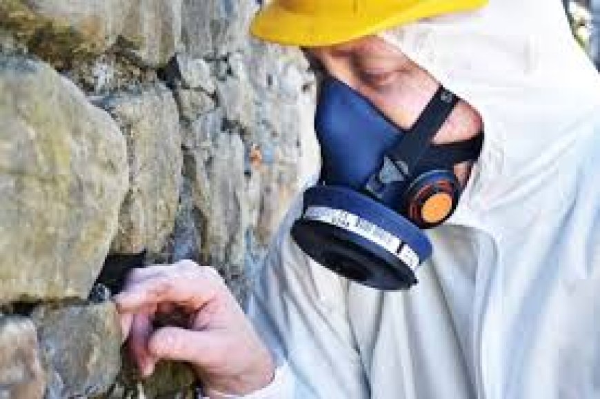 Asbestos Testing Glasgow: What Tenants Should Know Before Moving In