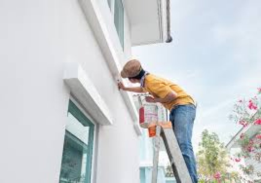 Residential Exterior Painting Trends for 2025: What’s In and What’s Out