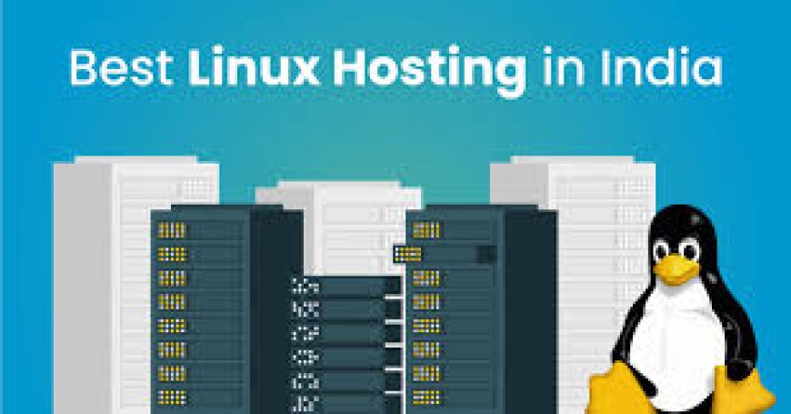 Linux Hosting in India: Why It’s the Top Choice for Developers and Businesses