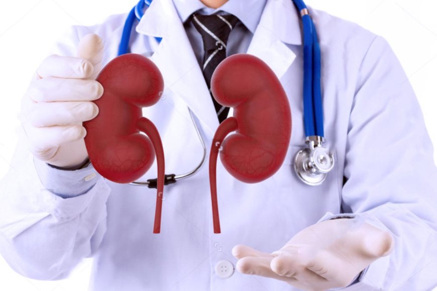 Life After Kidney Transplant: Real Stories from Patients in Jaipur